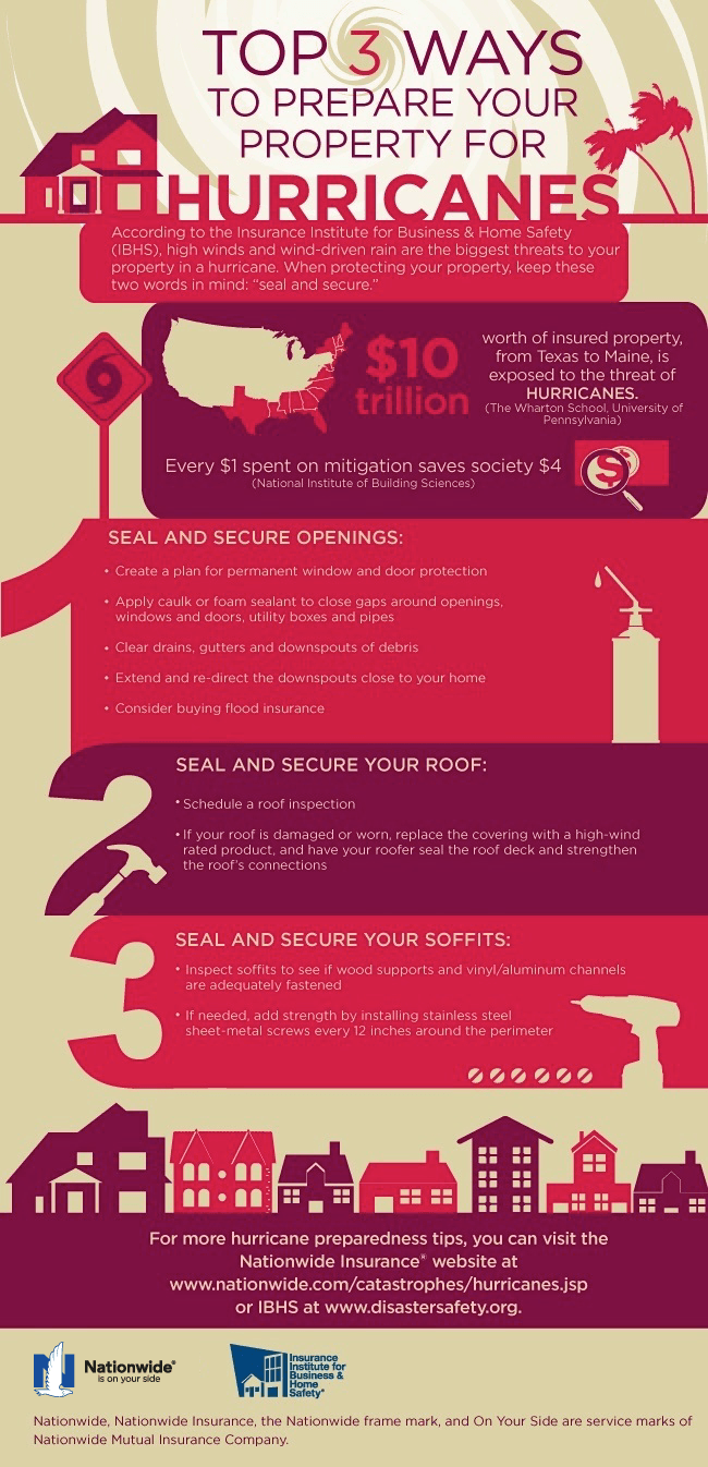 Hurricane Preparedness Infographic