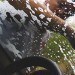 professional car cleaning