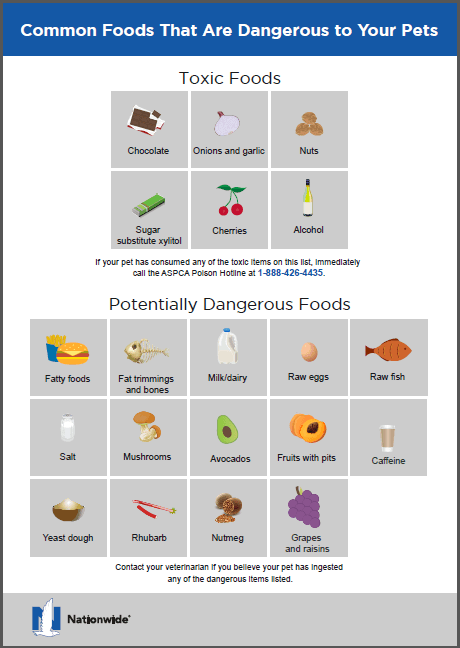 20 Foods Your Dog Can and Can't Eat + Printable PDF