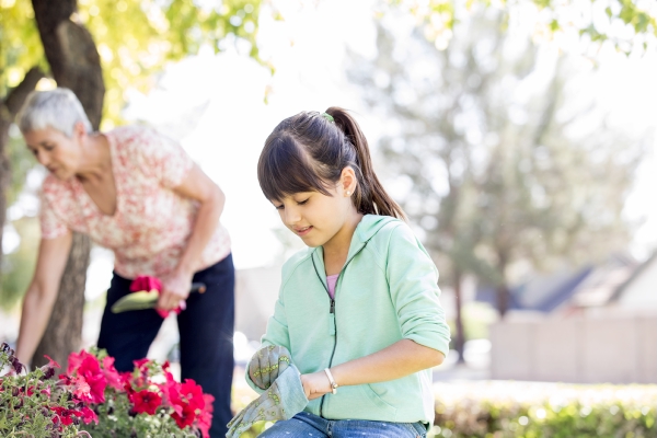 How To Protect Your Garden From Animals