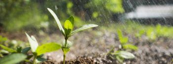 how to make soil fertile