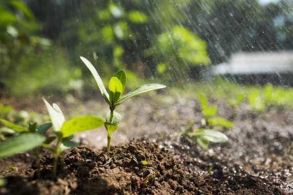 4 Tips For Making Fertile Soil