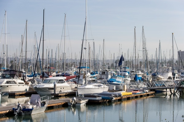 Several sailboats in dock slips