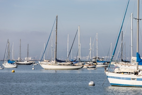 sailboats in the harbor