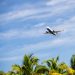 Plane Flying Above Tropical Landscape