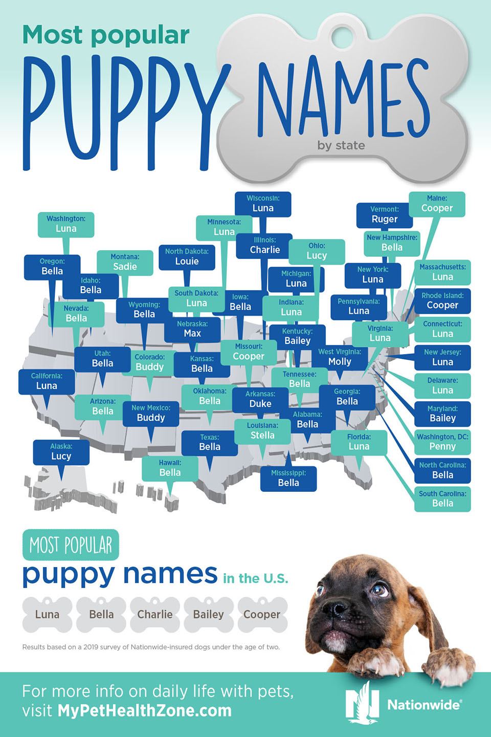 Nationwide determines most popular names for dogs under two.