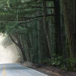How to Safely Drive in Fog