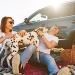 Tips for Road Trips with a Dog