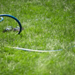 Blue hose sitting on grass