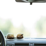 Sunglasses resting on the dashboard of a car.