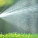 A sprinkler head is spraying water over green grass.