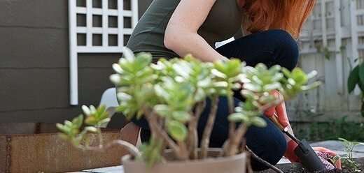 A woman crouching in her garden and using a small shovel.