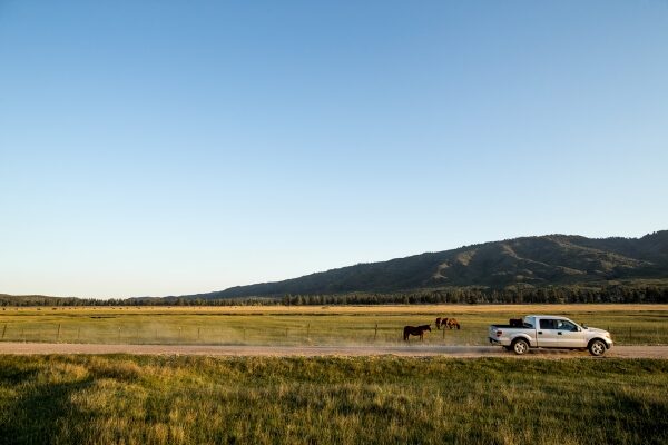 The Complete Truck Straps Guide