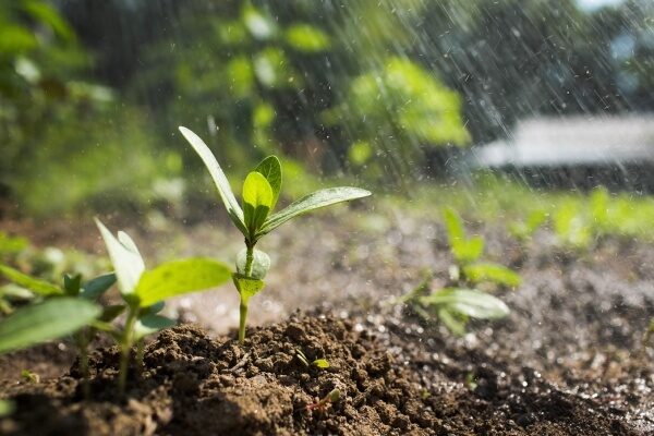 how to make soil fertile