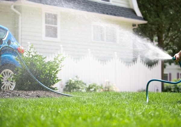 backyard sprinkler