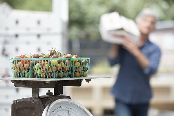 Selling Products at a Farmers' Market