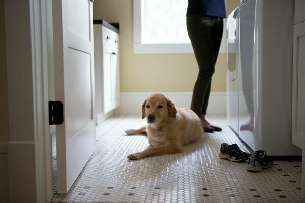 A homeowner doing laundry