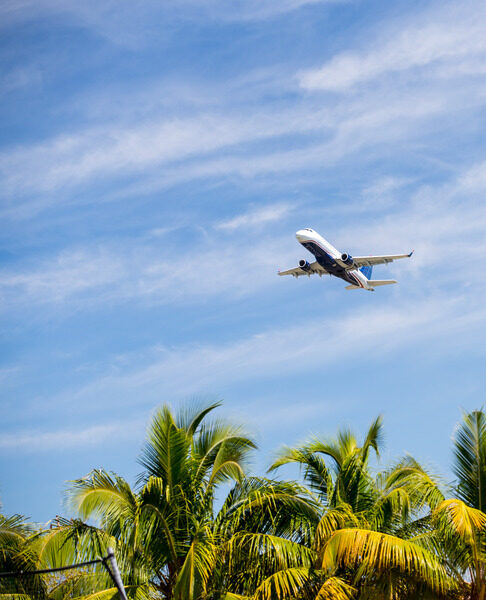 Plane Flying Above Tropical Landscape