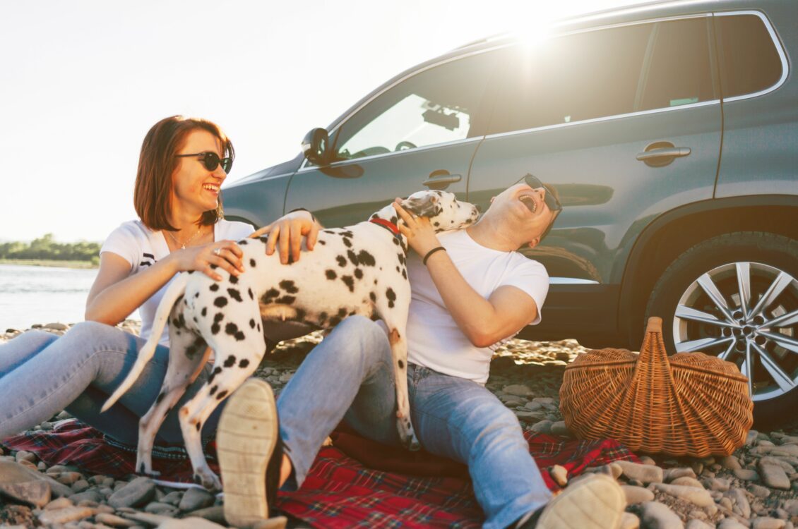 happy-couple-with-a-dog-next-to-car