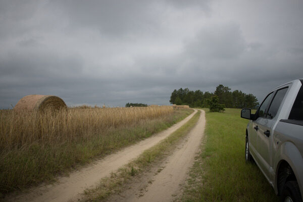 Dark sky and clouds over an open field