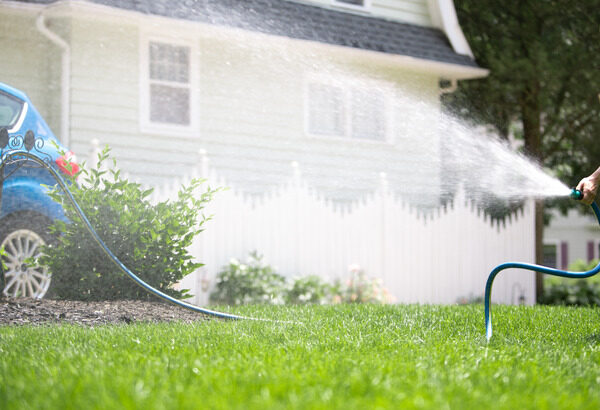 Watering a lawn with a hose.