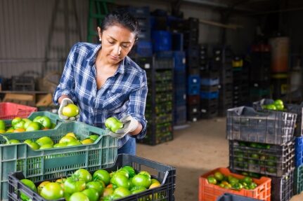 A woman sorts vegetables in a warehouse.