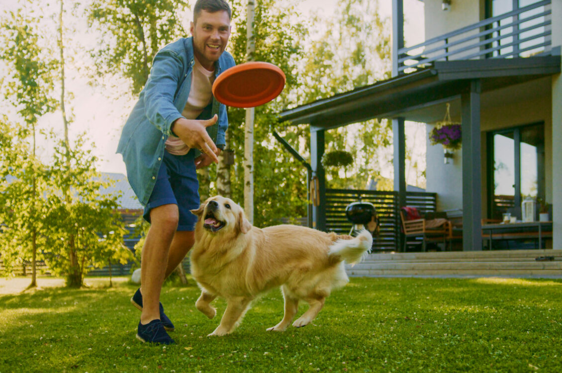 Man throws a frisbee to a dog.