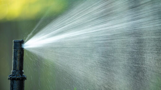 A sprinkler head is spraying water over green grass.