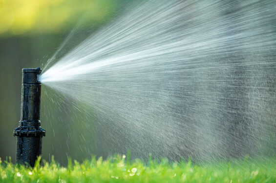 A sprinkler head is spraying water over green grass.
