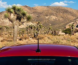 a roof of a car in front of a desert background