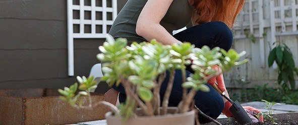 a woman planting a garden